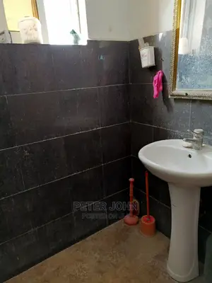 1bdrm Shared Apartment in Kariakoo for rent