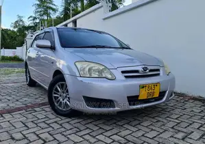 Toyota Allex 2003 Silver