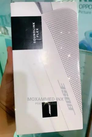 Bose Sound Flex