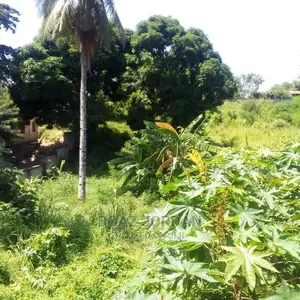 10bdrm Apartment in Graphite, Mbezi for Sale