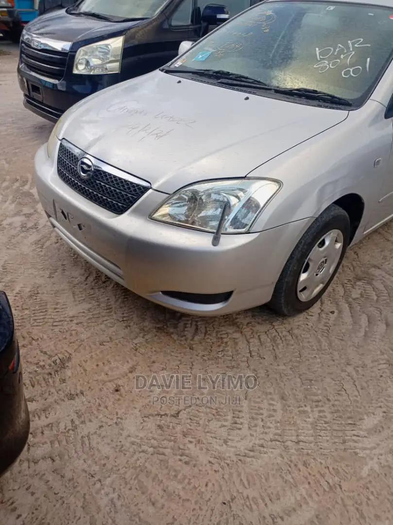Toyota Corolla RunX 2004 Silver