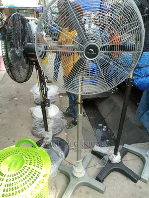 Dolphin Stand Fan