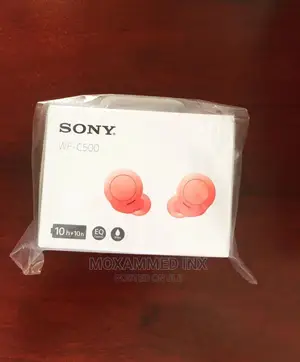 Sony Earbuds WF-C500