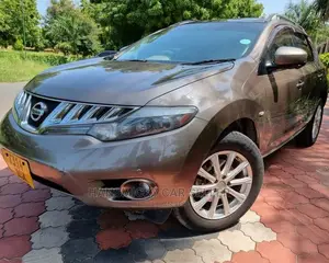 Nissan Murano 2009 Gold