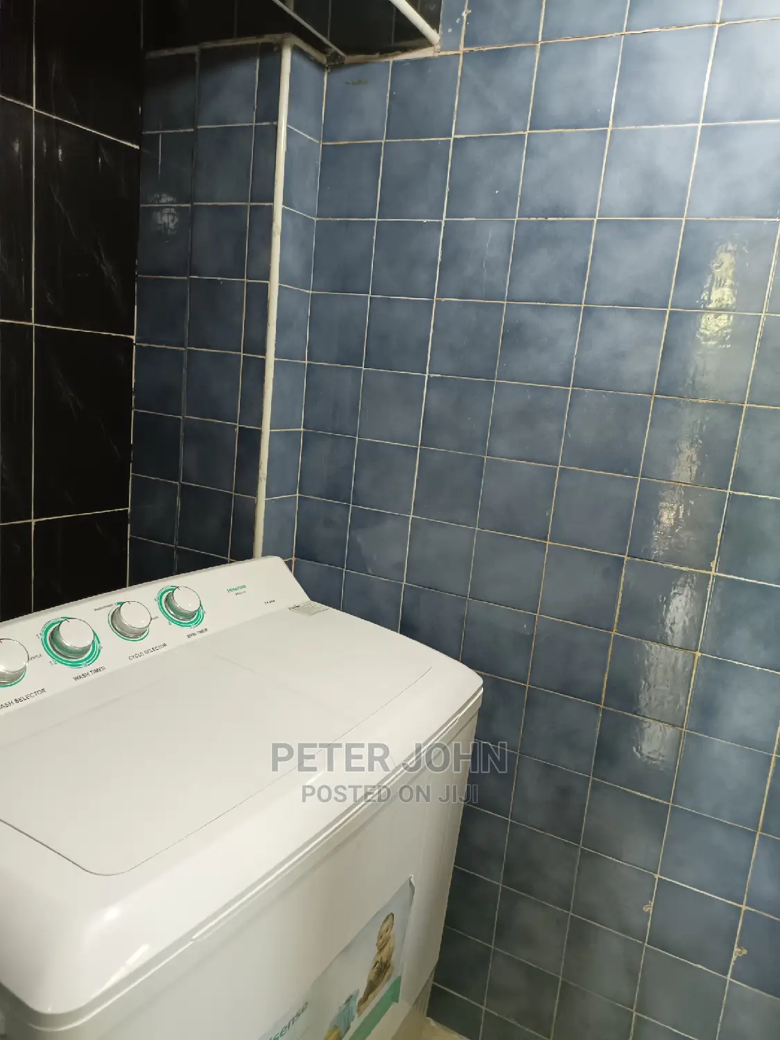 Furnished 1bdrm Apartment in Regent, Mikocheni for rent