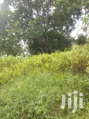 Shamba Linauzwa