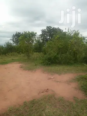 Shamba Linauzwa