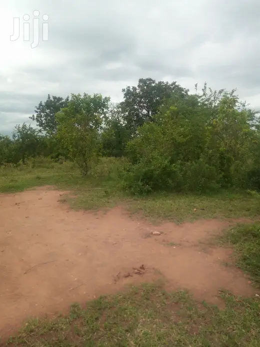 Shamba Linauzwa