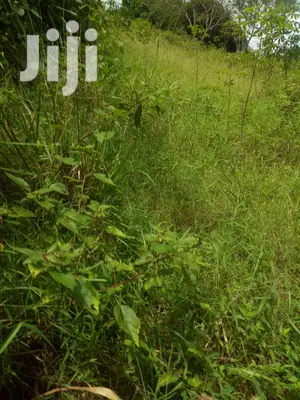Shamba Linauzwa
