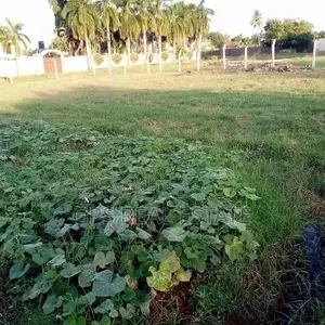 Plot For Sale