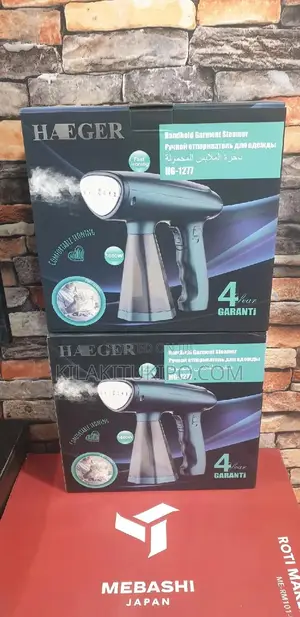 Handheld Germent Steamer