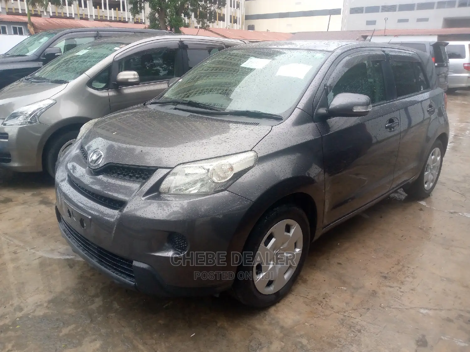 Toyota IST 2005 Gray