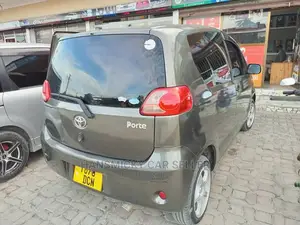 Toyota Porte 2005 Gray