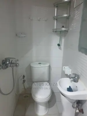 1bdrm Apartment in Kinondoni Mk Street for rent