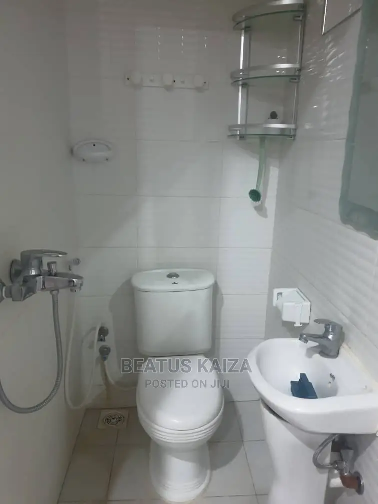 1bdrm Apartment in Kinondoni Mk Street for rent