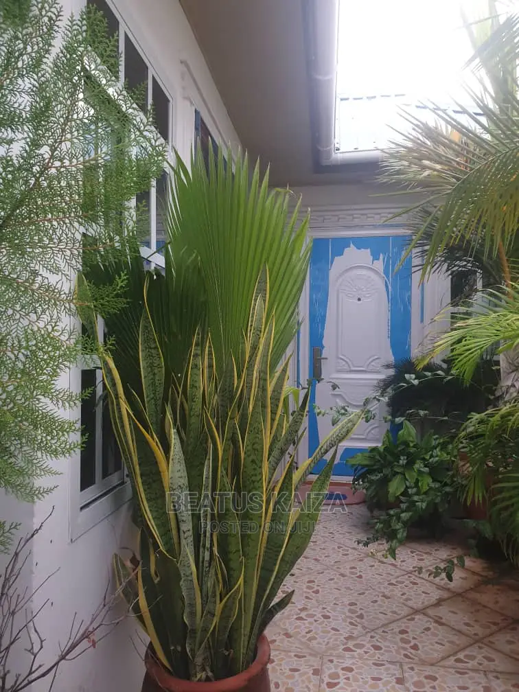 1bdrm Apartment in Kinondoni Mk Street for rent