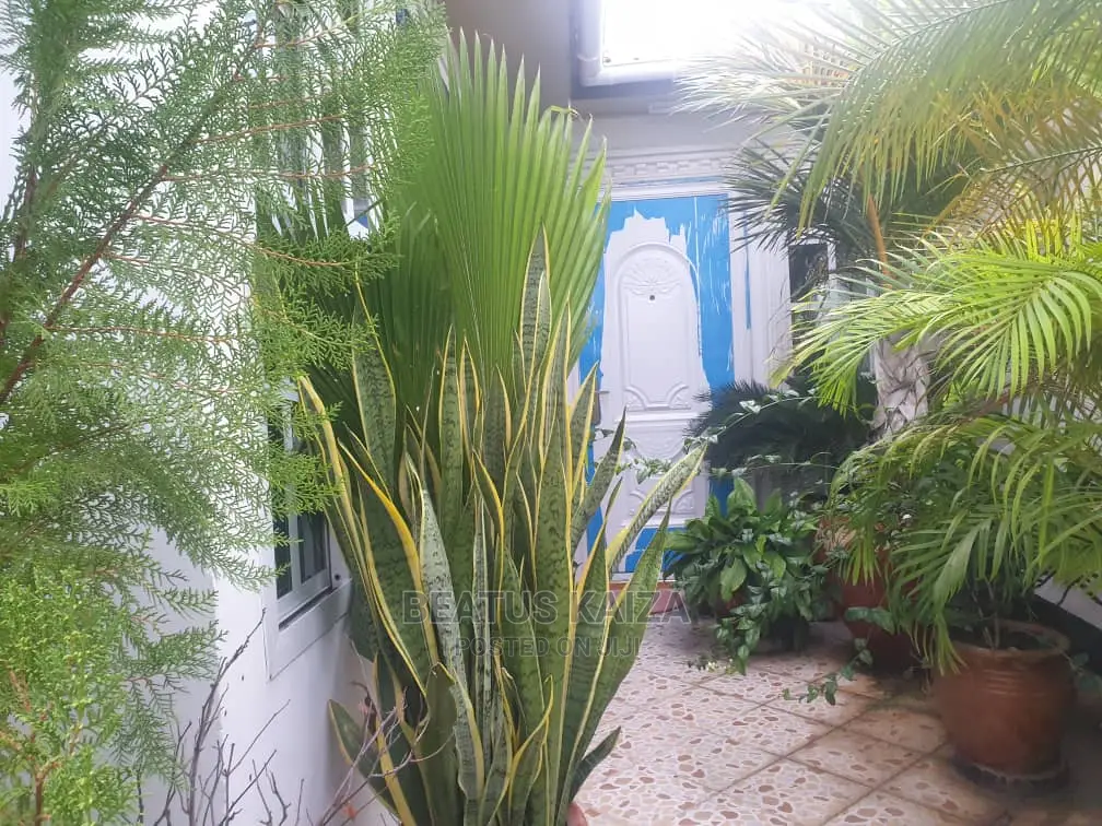 1bdrm Apartment in Kinondoni Mk Street for rent