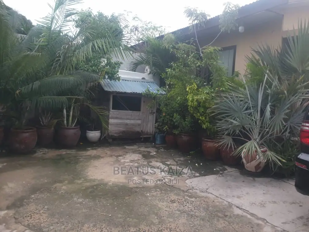 1bdrm Apartment in Kinondoni Mk Street for rent