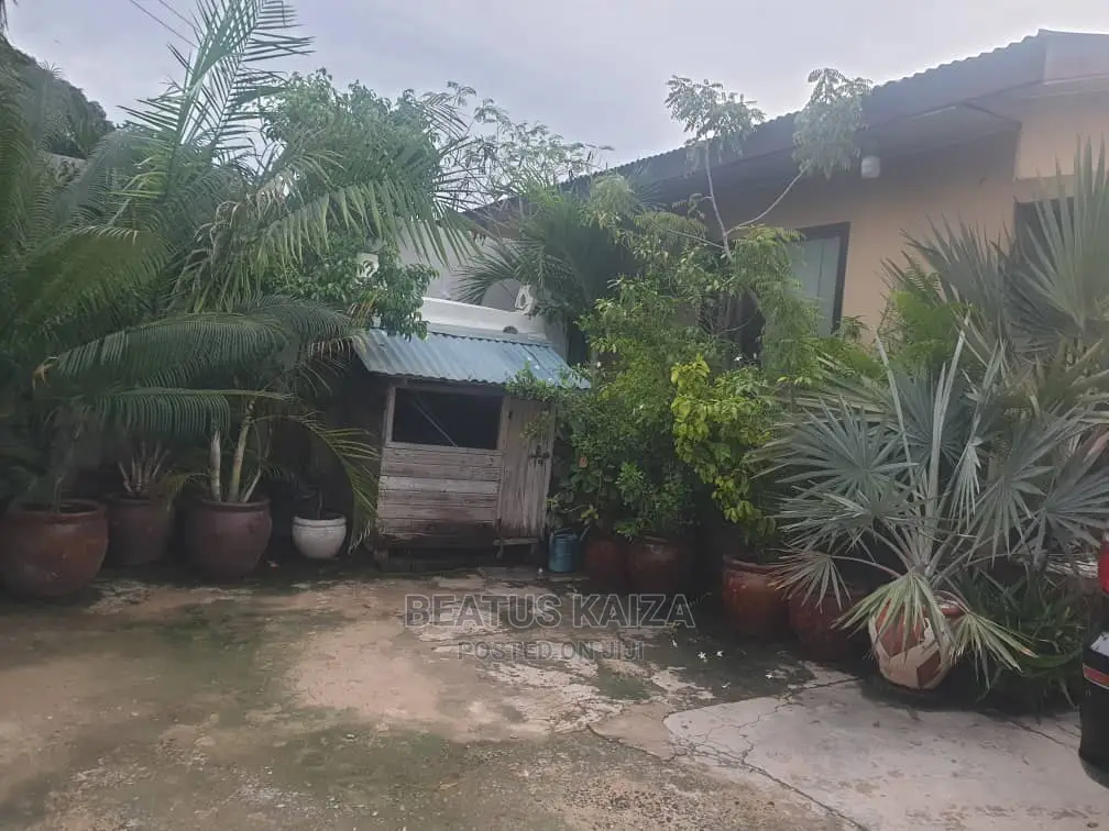 1bdrm Apartment in Kinondoni Mk Street for rent