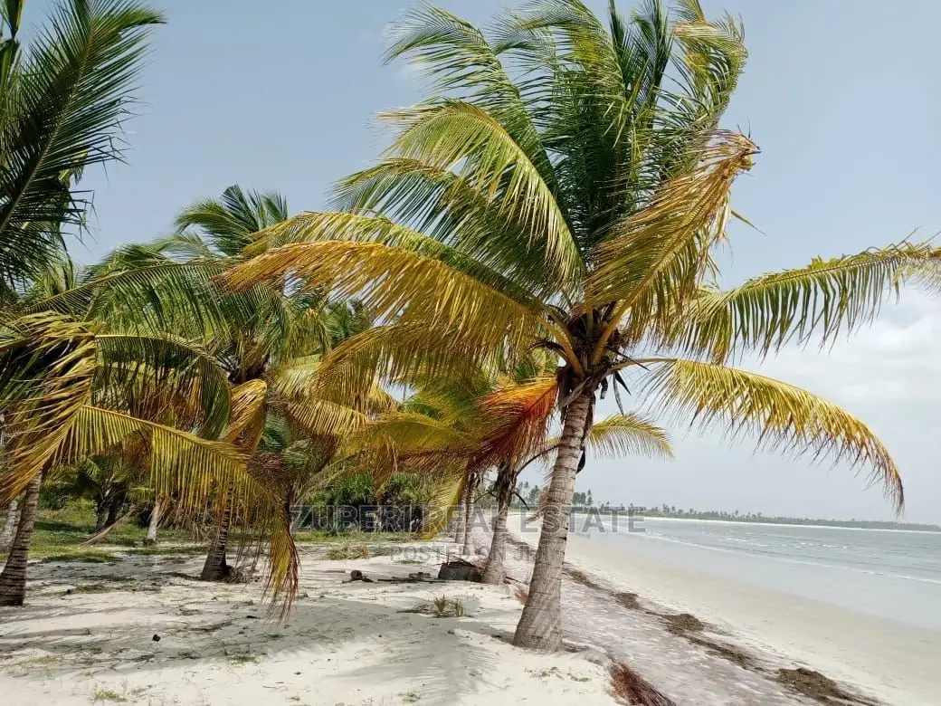 Sange Beach Plot for Sale.