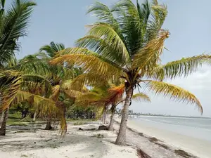 Sange Beach Plot for Sale.