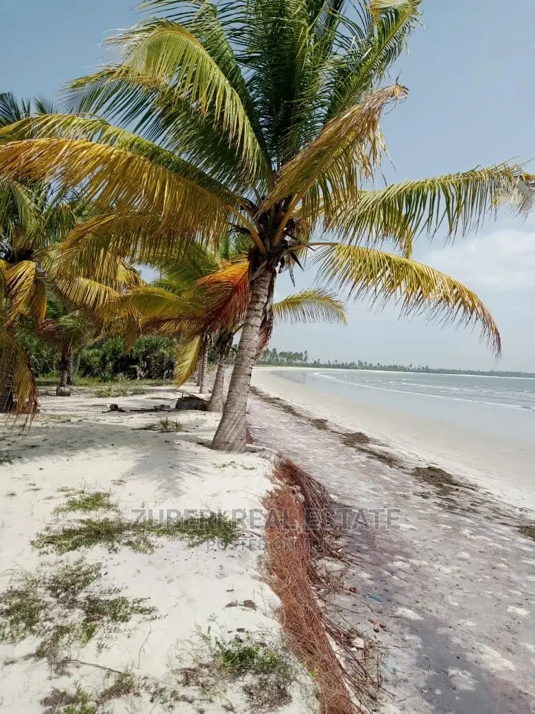 Sange Beach Plot for Sale.