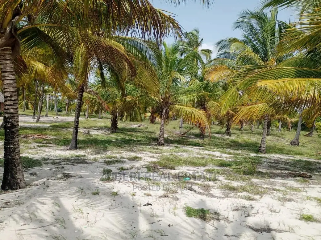 Sange Beach Plot for Sale.