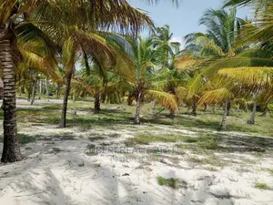 Sange Beach Plot for Sale.