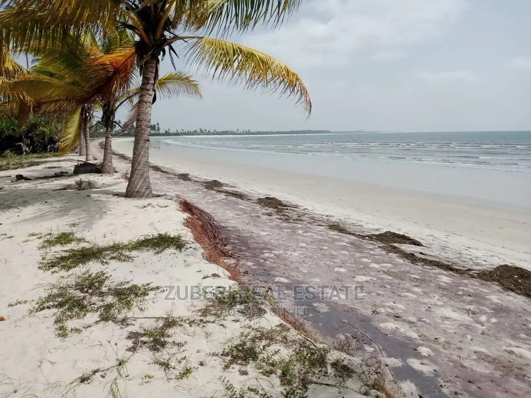 Sange Beach Plot for Sale.