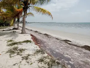 Sange Beach Plot for Sale.
