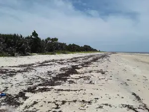 Buyuni Pangani Beach Plot for Sale