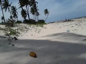 Buyuni Pangani Beach Plot for Sale