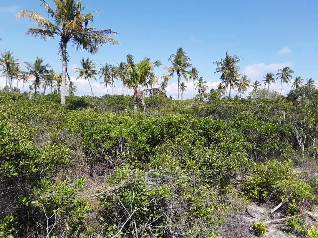Beach Plot for Sale Pangani