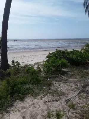 Beach Plot for Sale Pangani