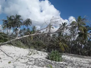 Beach Plot for Sale at Sange Village