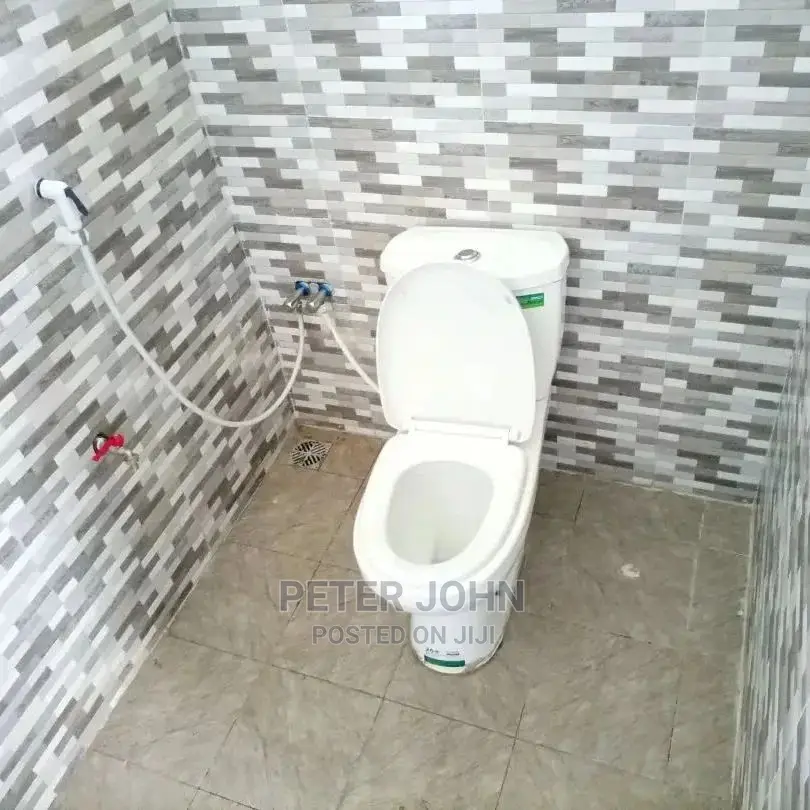 2bdrm Apartment in Mikocheni for rent