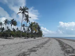 Makorora- Pangani Beach Plot for Sale