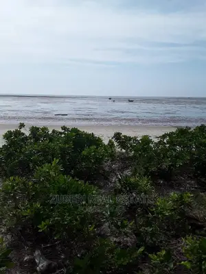 Makorora- Pangani Beach Plot for Sale