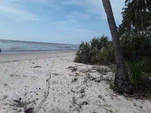 Makorora- Pangani Beach Plot for Sale