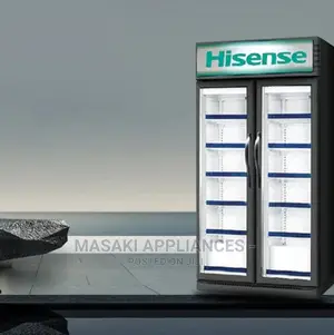 Hisense Showcase Fl-99 Refrigerator Commercial Cooler Fridge