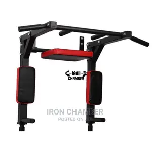 Wall Pull Up and Dip Station.