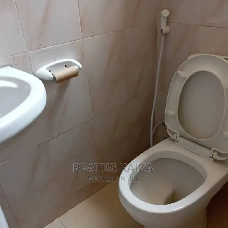 1bdrm Apartment in Mwananyamala Msaada for rent