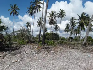 Sange 'Jiweni' Beach Plot for Sale