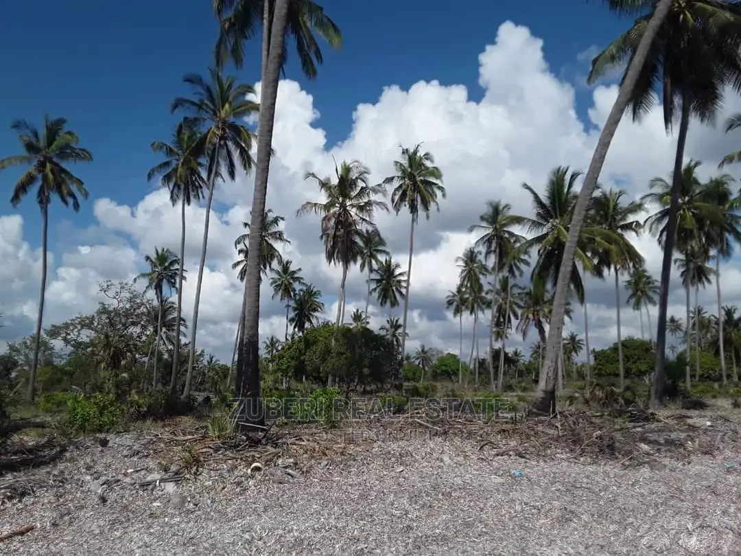 Sange 'Jiweni' Beach Plot for Sale