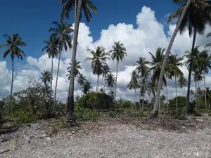 Sange 'Jiweni' Beach Plot for Sale