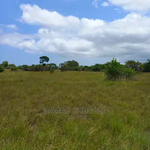 Acre 11000 Zinauzwa Tanga Shamba Limezungukwa Na Mito