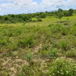 Shamba Kubwa Acre 2000 Linauzwa