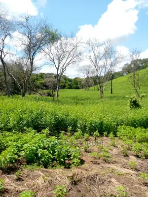 Acre 2500 Bwawani Morogoro