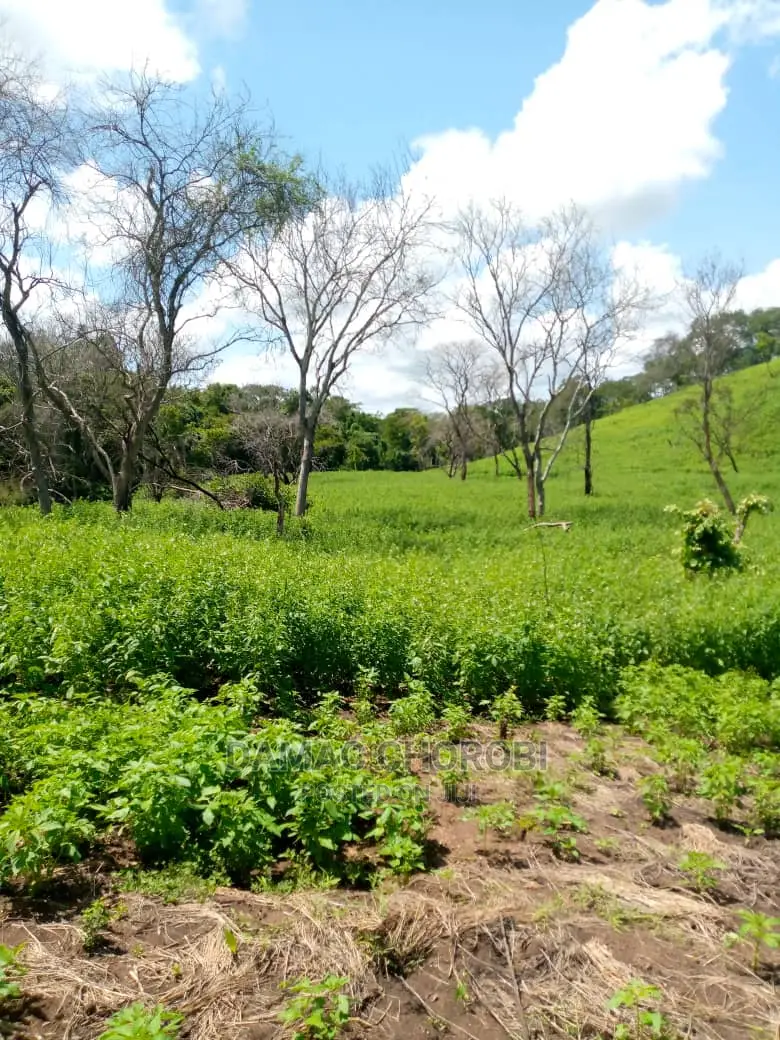 Acre 2500 Bwawani Morogoro