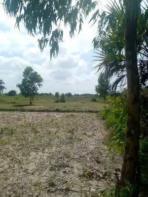 Shamba Linauzwa Rufiji Acre 11000
